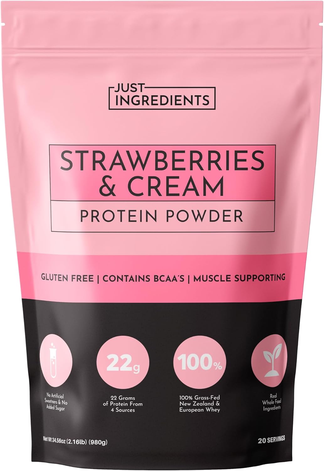 Protein Powder